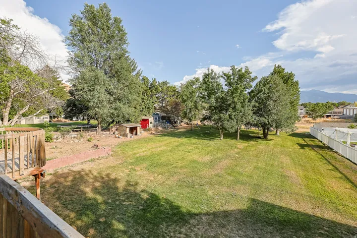Expansive backyard featuring a large grassy area, mature trees, and a white picket fence
