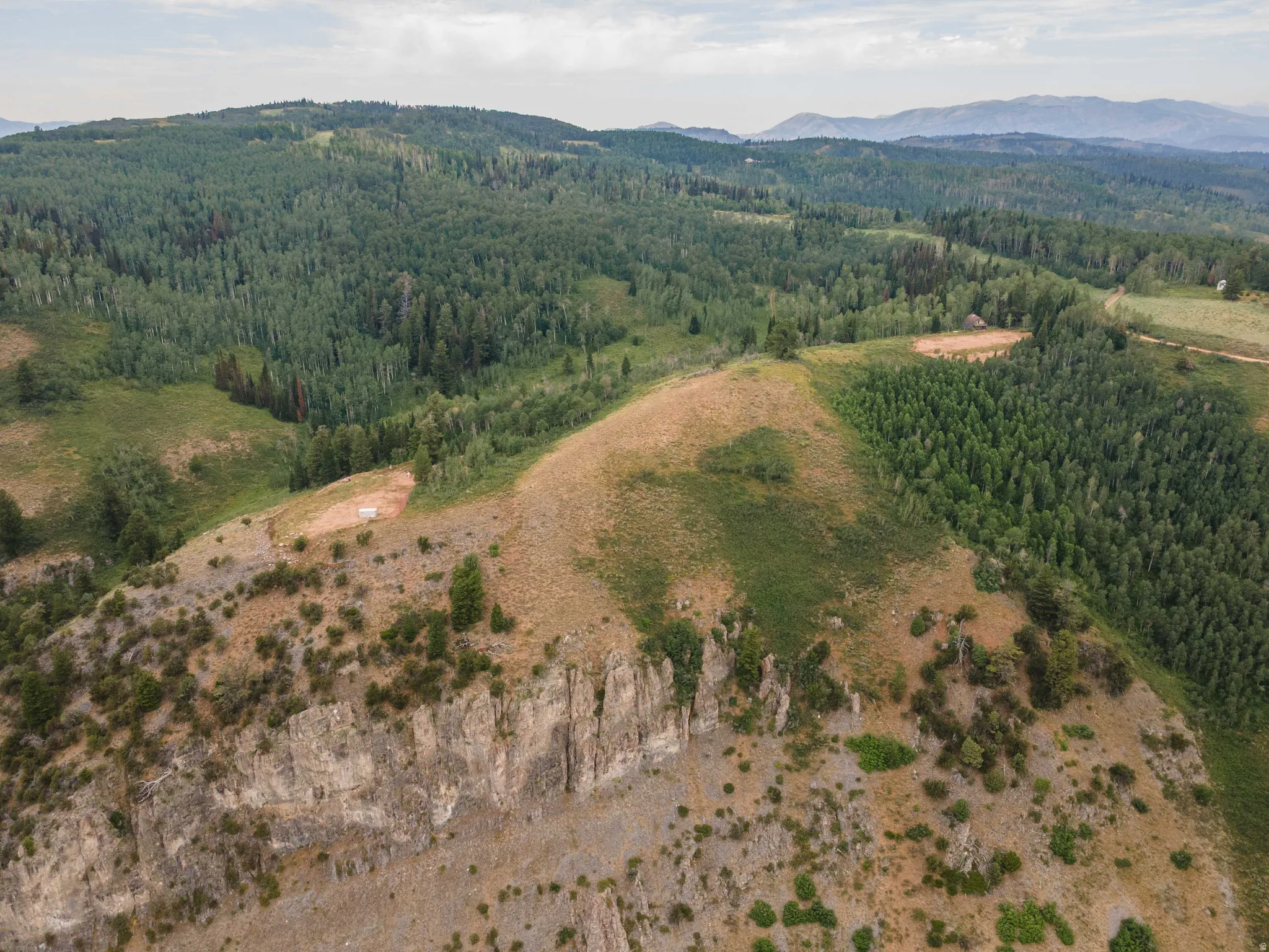 Elevated landscape featuring a prominent cliffside, diverse tree cover, and open grassy areas