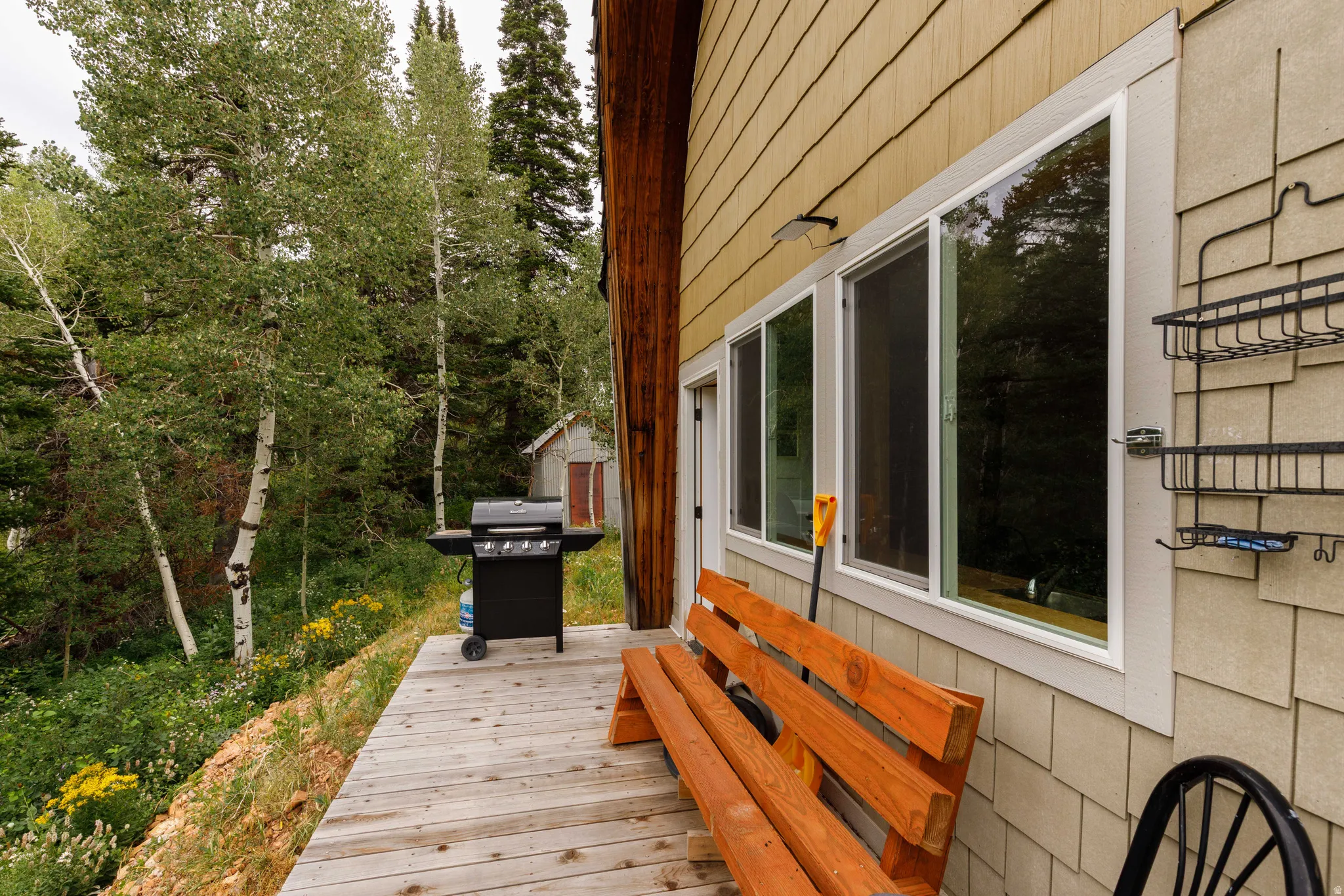 Exterior deck featuring natural wood planks, a light tan shingle and plank exterior, and multiple large windows