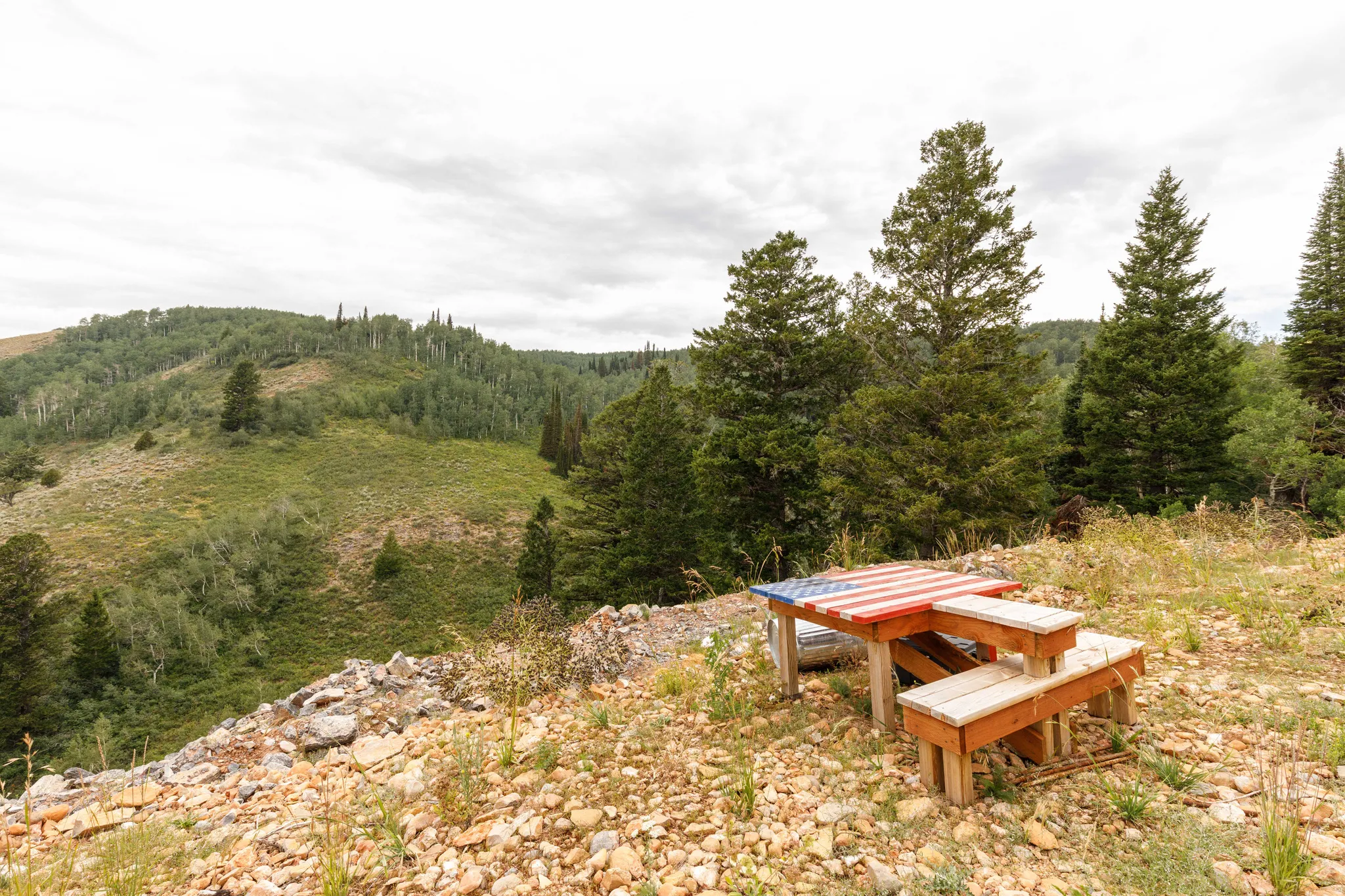 Elevated outdoor space featuring natural landscaping with scattered rocks and sparse vegetation