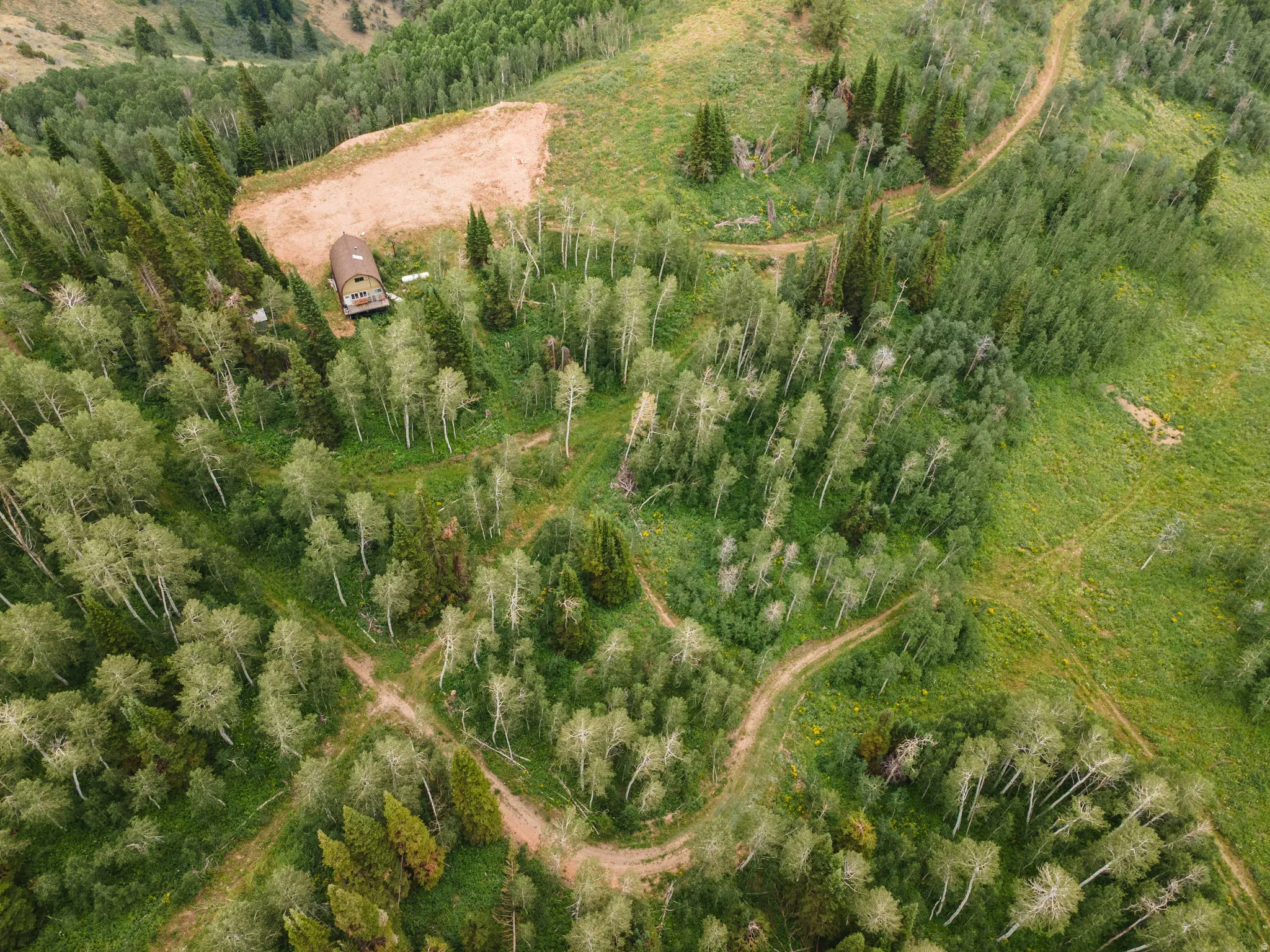 Mountainous terrain featuring a single structure nestled amongst dense evergreen and deciduous trees