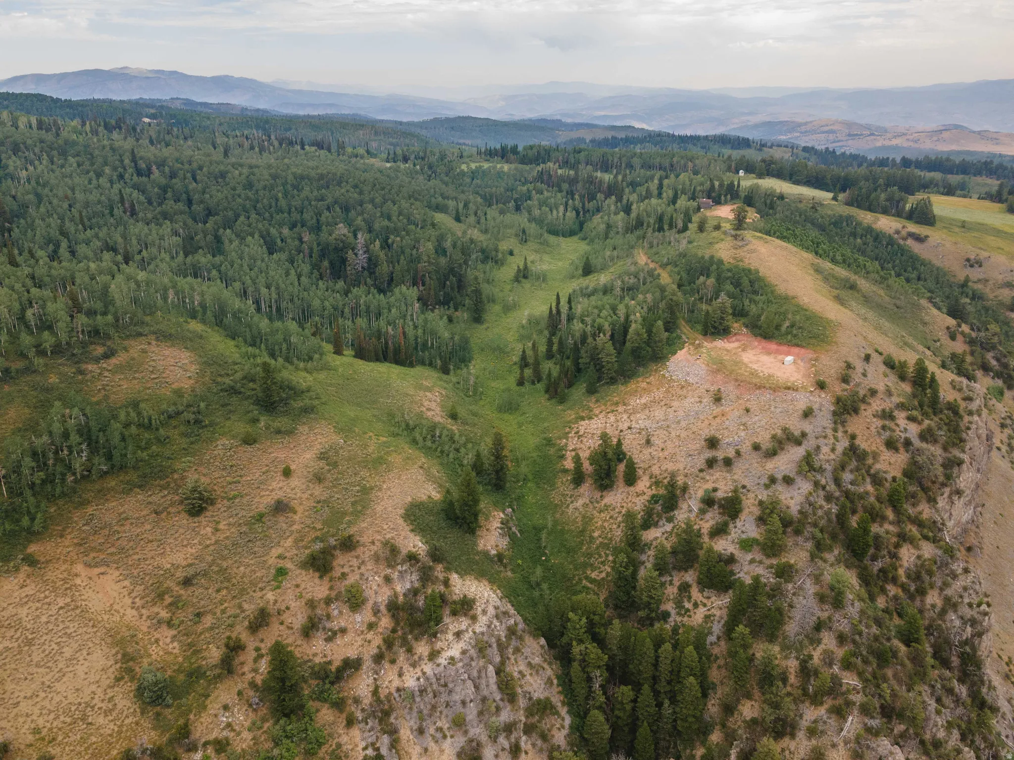 Expansive natural landscape featuring varied topography, including grassy slopes and dense tree cover