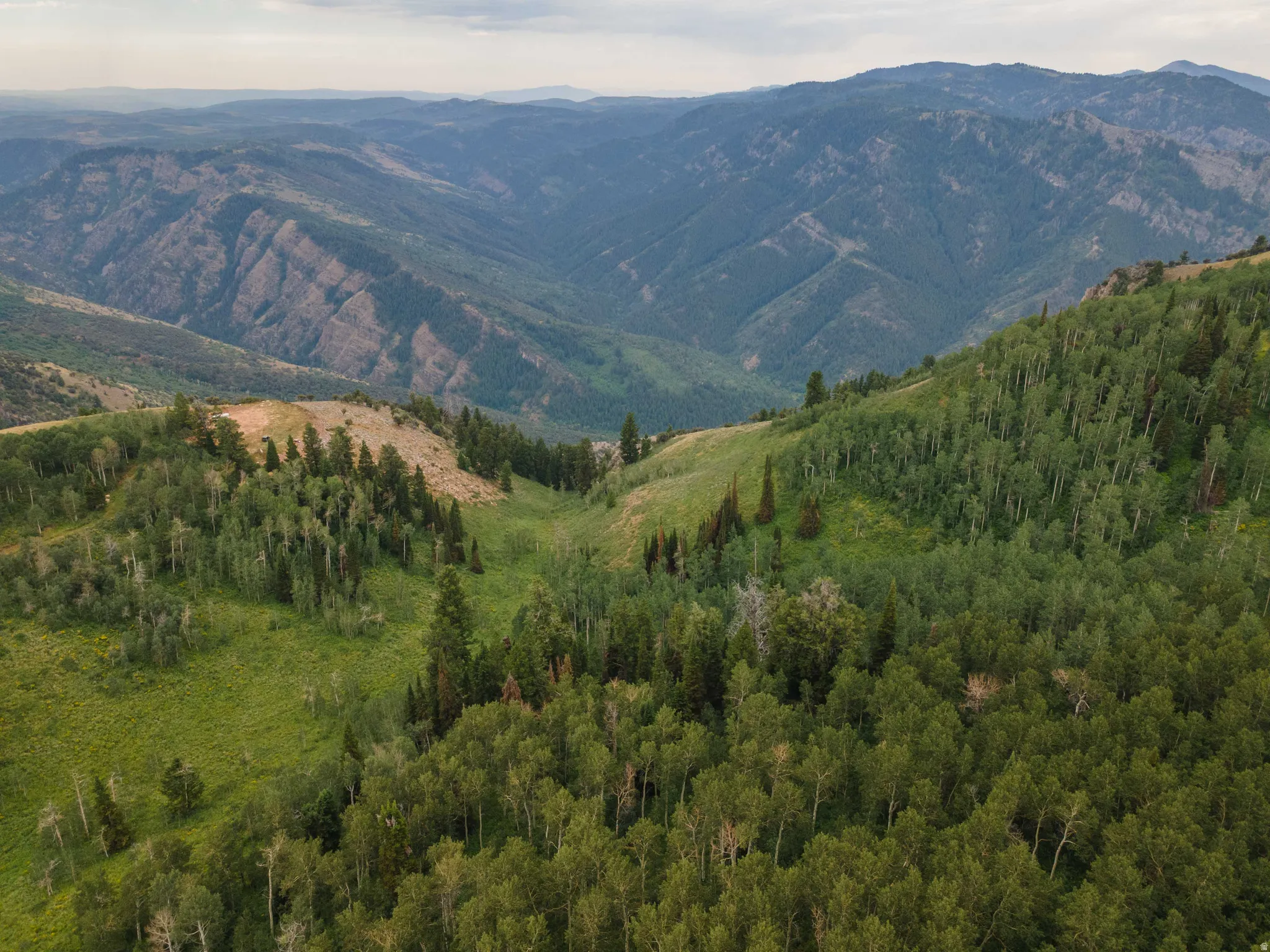 Expansive mountain landscape featuring varied tree coverage and rolling terrain