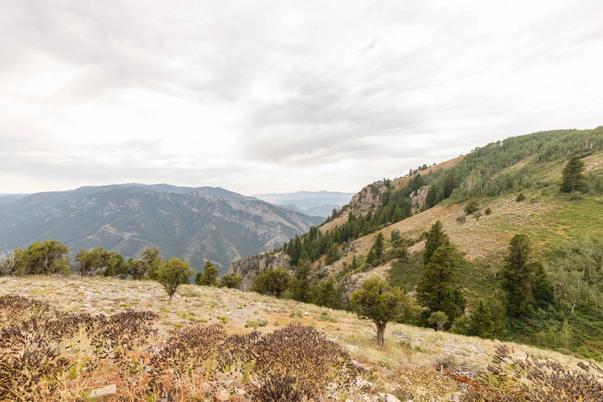 Expansive mountain landscape featuring varied terrain and natural foliage