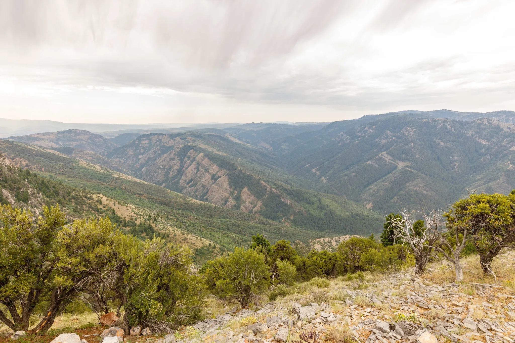 Expansive mountain landscape featuring varied terrain with dense tree coverage