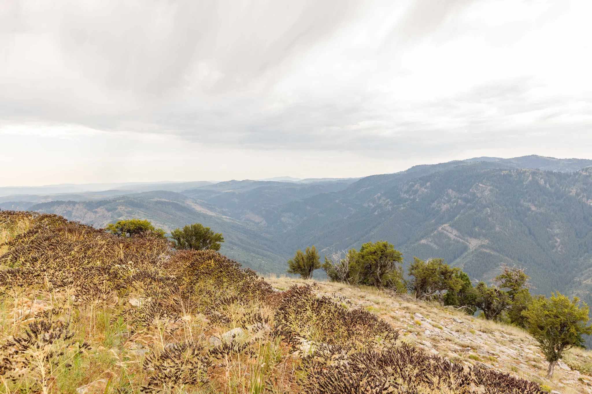 Expansive mountain terrain featuring rolling hills and distant ranges under a broad sky