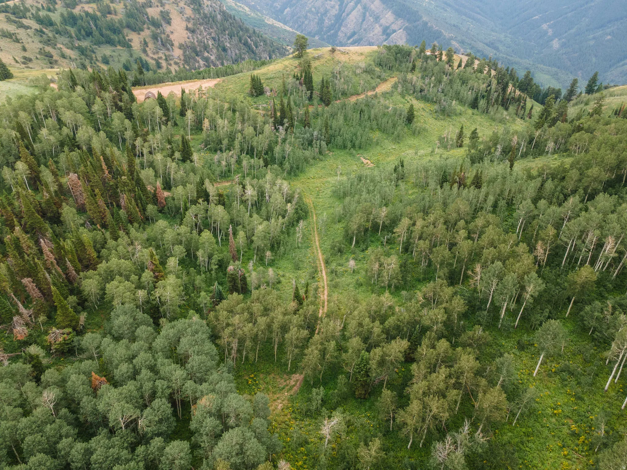 Expansive, treed mountain landscape featuring diverse foliage and varying elevations