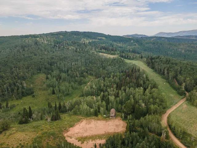 Expansive wooded acreage featuring a rustic cabin structure, a cleared building pad, and a winding dirt road through dense forestry
