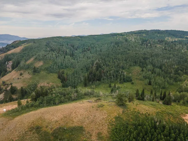 Expansive mountain terrain featuring lush forests and rolling hills