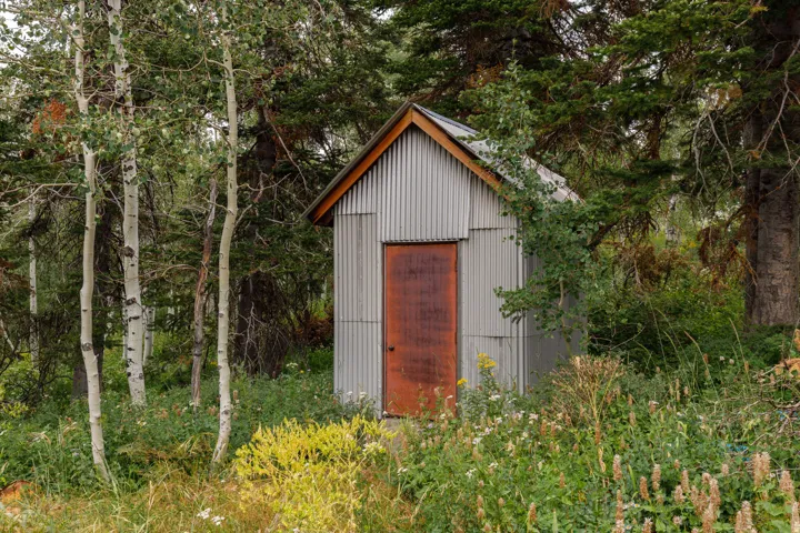 Corrugated metal outbuilding with a peaked roof and a contrasting reddish-brown door, surrounded by mature trees and natural landscaping