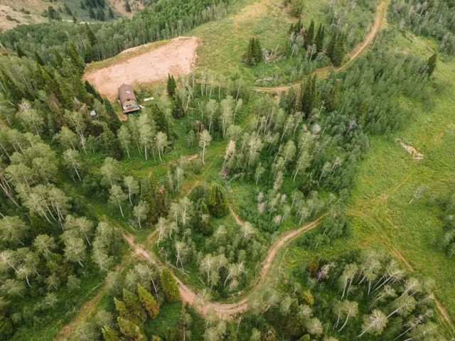 Mountainous terrain featuring a single structure nestled amongst dense evergreen and deciduous trees