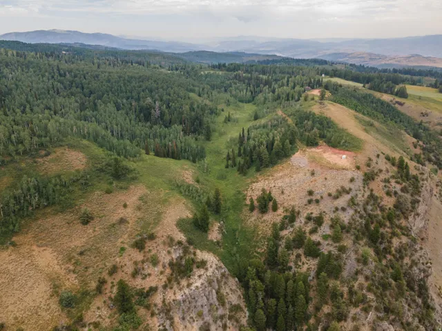 Expansive natural landscape featuring varied topography, including grassy slopes and dense tree cover