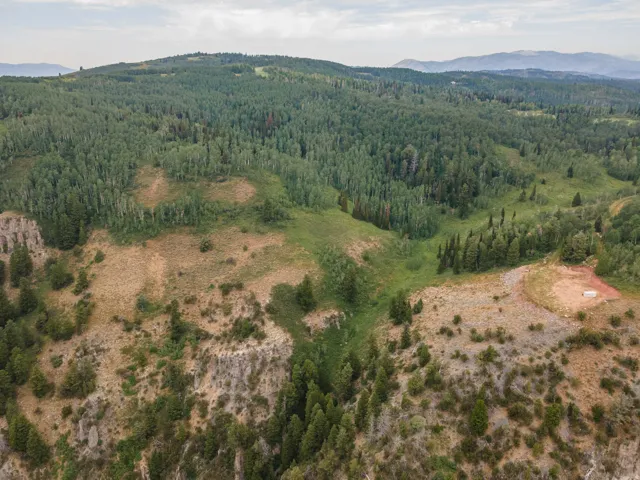 Expansive mountainous terrain featuring dense evergreen and deciduous forests