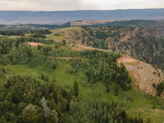 Expansive mountain property featuring varied topography, mature evergreen and deciduous trees, and open grassy slopes