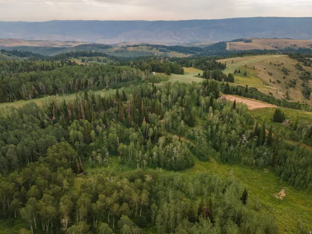 Expansive mountain landscape featuring dense evergreen and deciduous trees