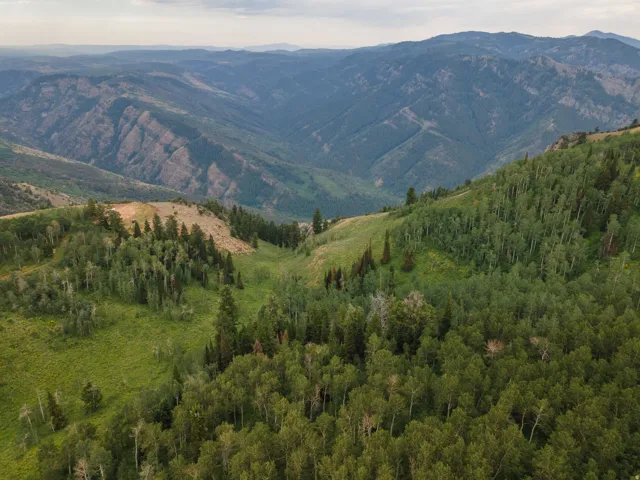 Expansive mountain landscape featuring varied tree coverage and rolling terrain
