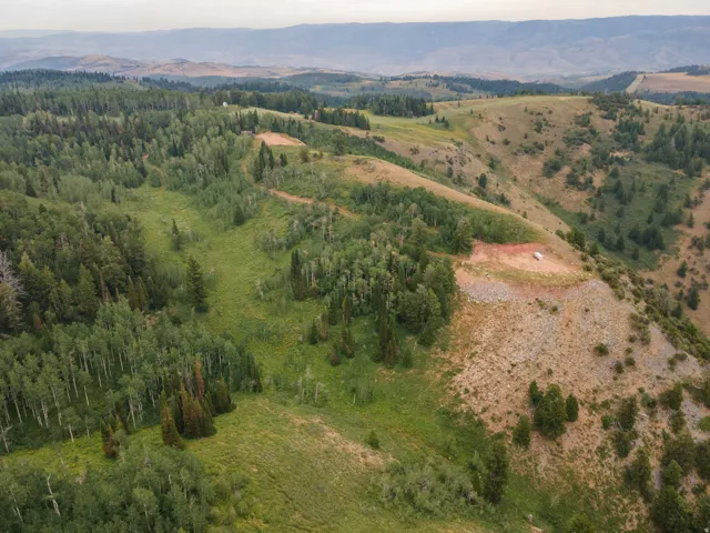 Expansive natural landscape featuring rolling hills and dense evergreen and deciduous trees
