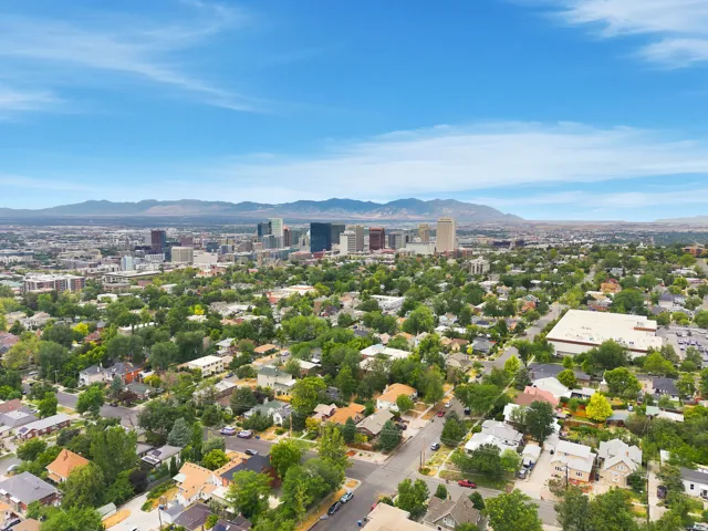Aerial perspective showcasing a residential area with varied rooflines and extensive tree cover, set against a backdrop of a distant cityscape and mountain range under a clear sky
