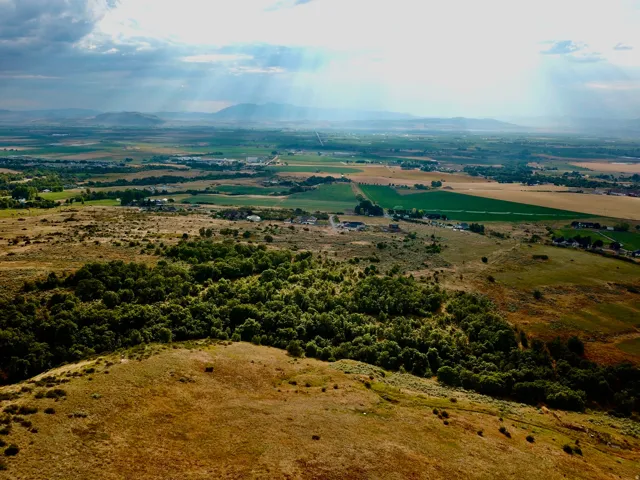 Expansive land offering diverse topography, including rolling hills and a dense cluster of mature trees