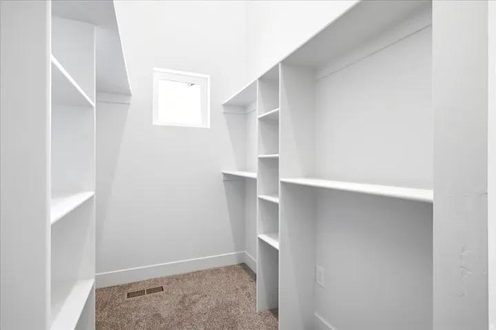 Walk-in closet featuring built-in shelving, carpet flooring, a high window, and white trim