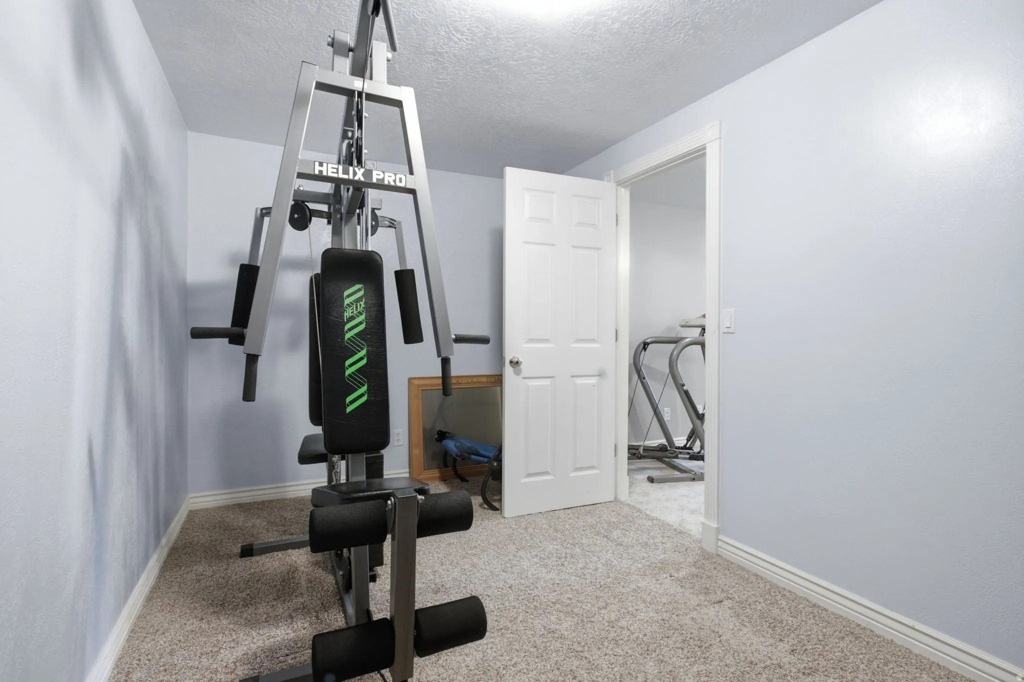 Carpeted room with light gray walls and white trim