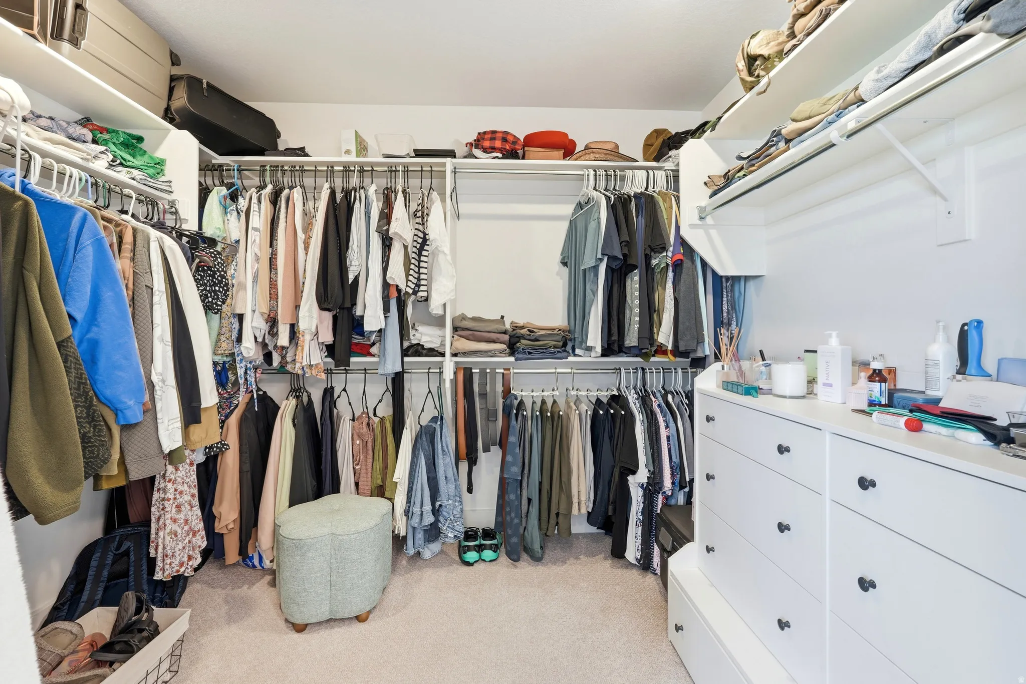 Custom walk-in closet featuring white built-in shelving, multiple hanging rods, white built-in dresser units with dark hardware, and light carpet flooring