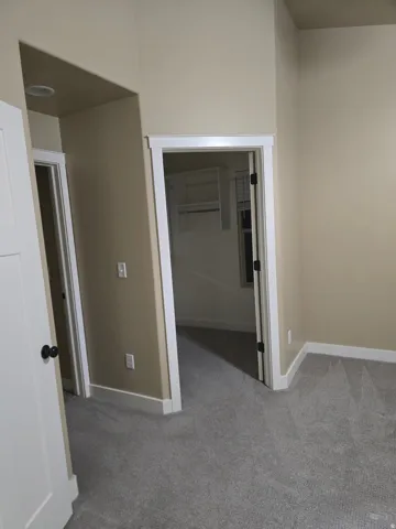 Plush gray carpeting, white baseboards, and neutral wall tones