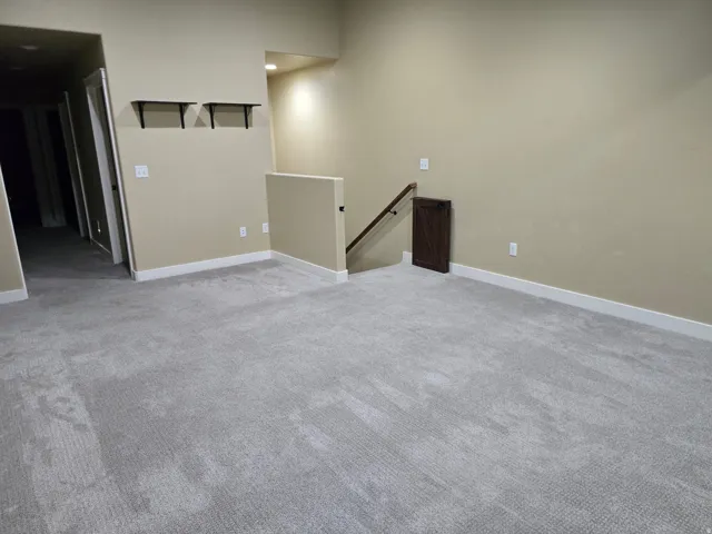 Light gray carpeting, light tan wall paint, white trim, and a dark wood-finish barn door-style accent