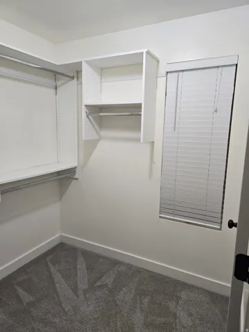 Built-in closet shelving, integrated hanging rods, window with blinds, and grey carpet flooring