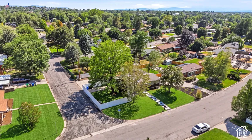 Residential neighborhood featuring established trees and single-story homes