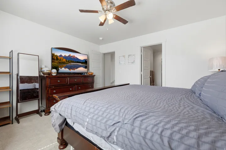 Bright interior space featuring a ceiling fan with integrated lighting, white walls, and soft carpet flooring