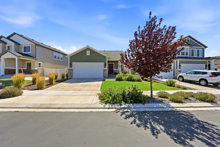 Front house
