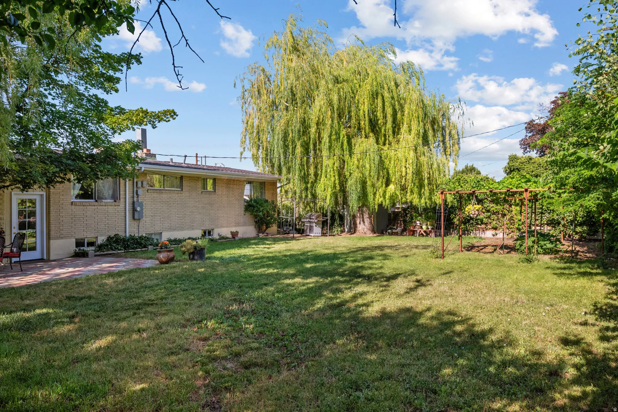 Spacious backyard featuring a prominent mature willow tree, expansive lawn, and a brick patio