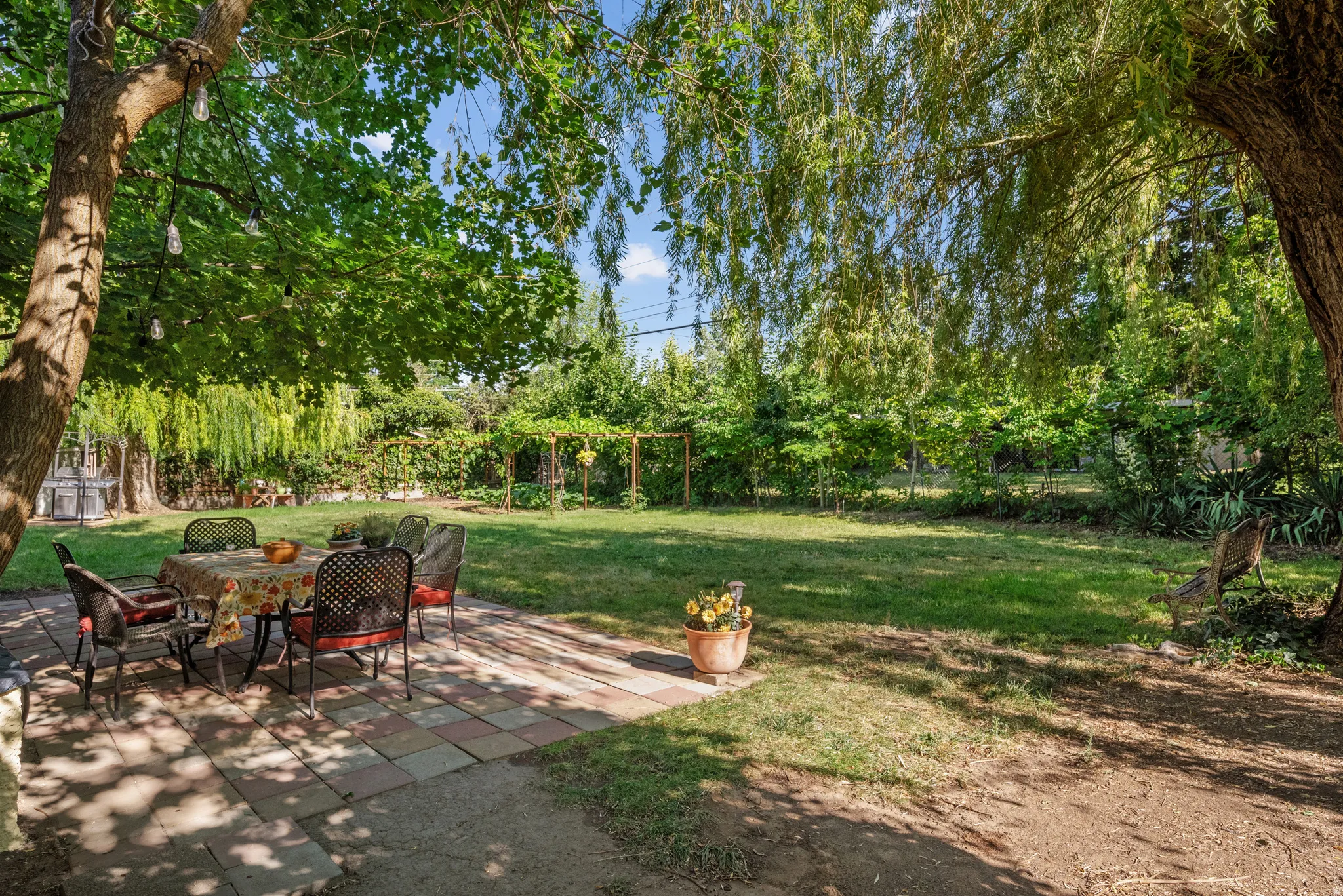 Expansive backyard featuring a large paved patio, mature shade trees, string lighting, and a substantial lawn area