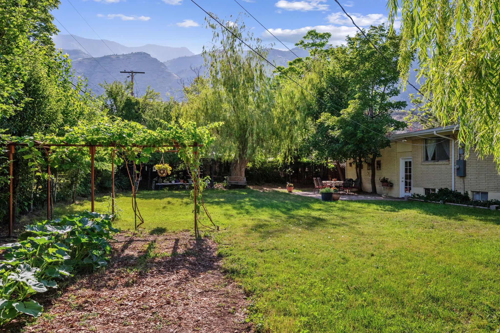 Expansive backyard featuring a manicured lawn, established trees, and a mountain backdrop