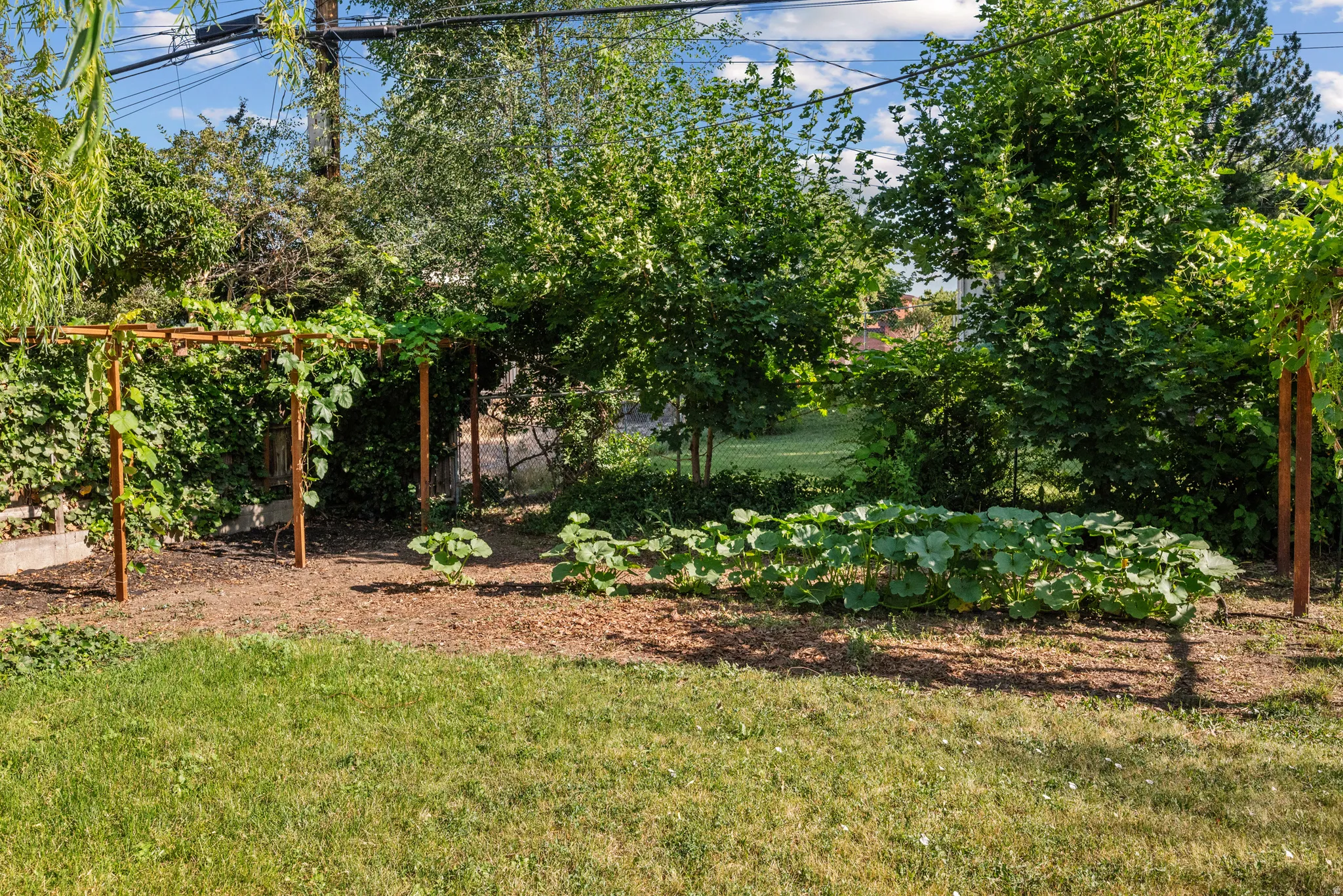 Expansive outdoor space featuring a wood pergola and established garden beds