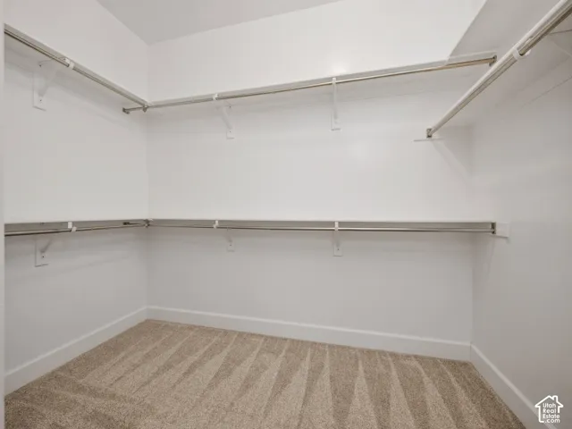 Walk-in closet featuring light-colored carpeting, white baseboards, and multiple levels of built-in shelving and hanging rods