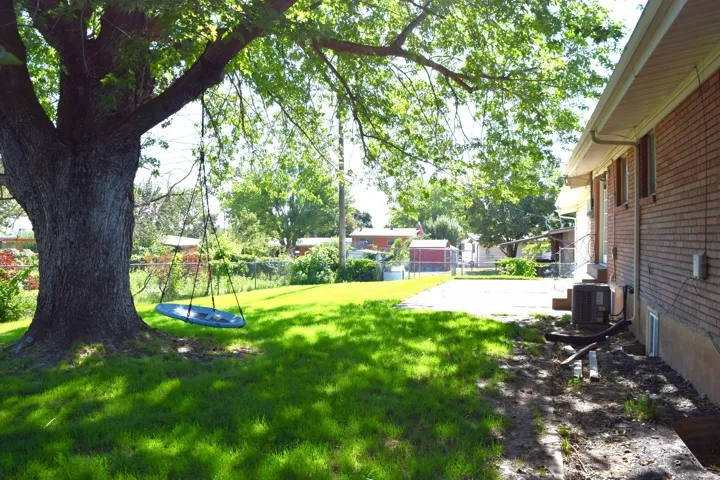 Spacious rear yard with a mature tree providing natural shade