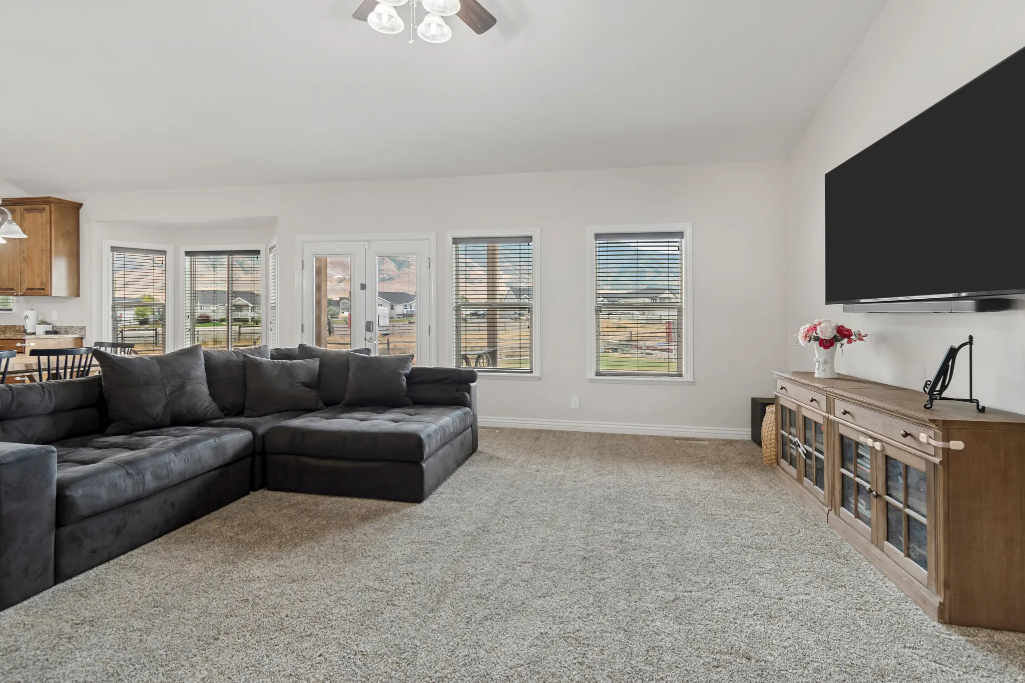Carpeted living area featuring multiple windows, a glass-paned door, and a ceiling fan