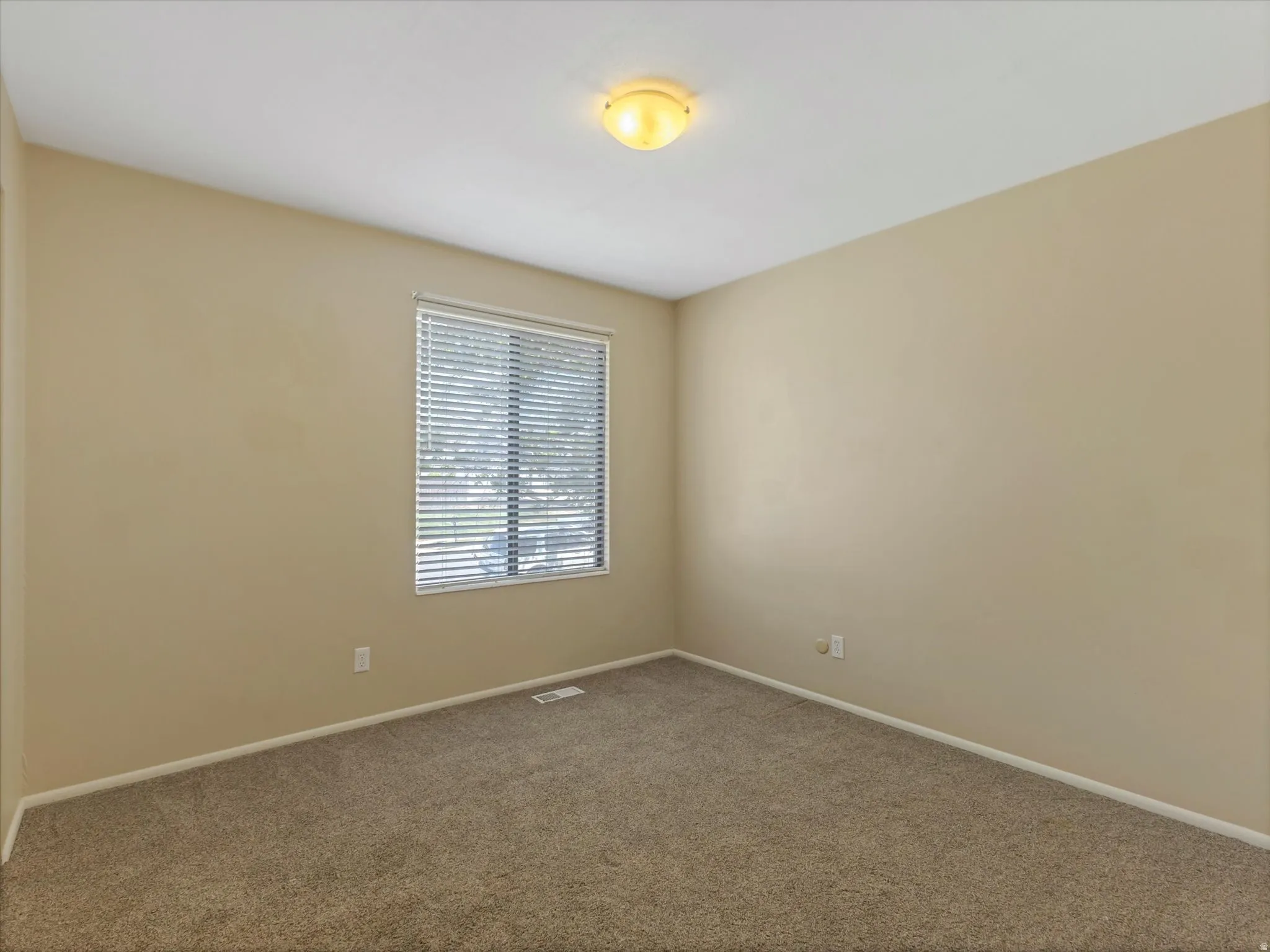 Neutral-toned wall paint and matching carpet