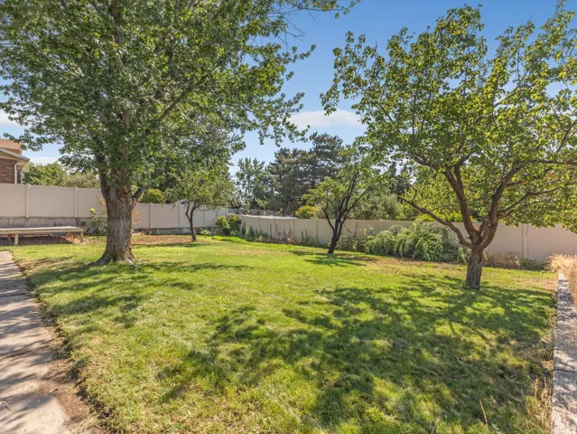 Expansive lawn area featuring multiple mature fruit trees