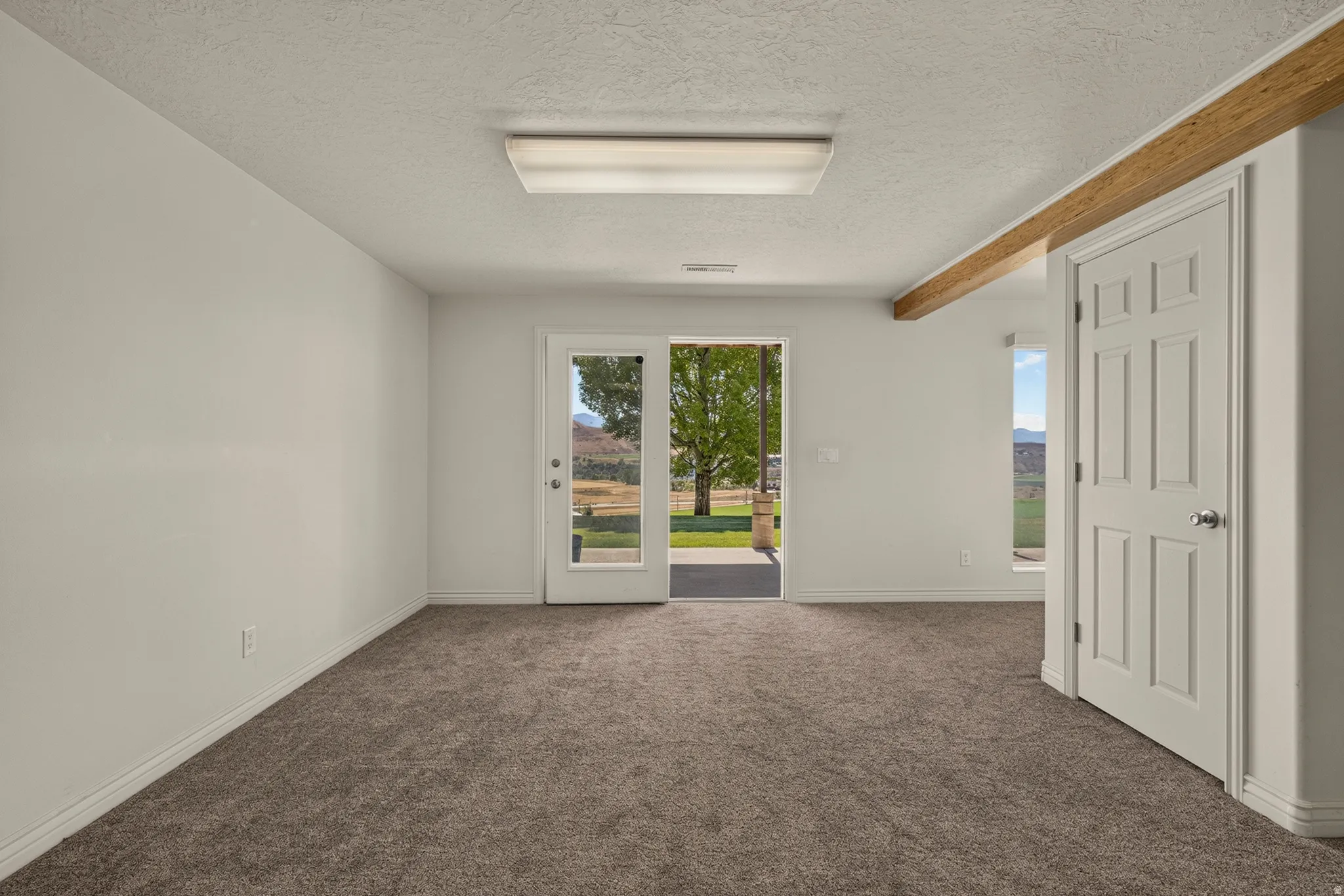 Walkout basement doors