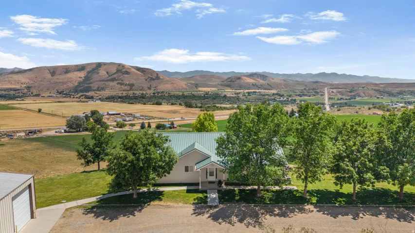 Expansive property featuring a single-story home with a green metal roof, a detached metal outbuilding with a garage door, a paved driveway, and mature trees surrounding a manicured lawn