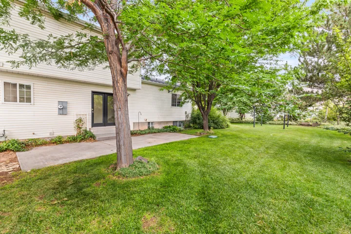 Expansive green lawn with mature trees and a concrete patio