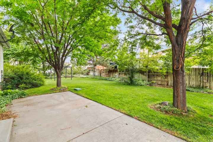 Expansive lawn with mature trees and a concrete patio