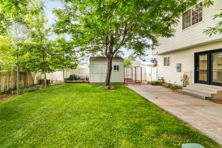 Expansive backyard featuring a manicured lawn, mature trees, and a white storage shed