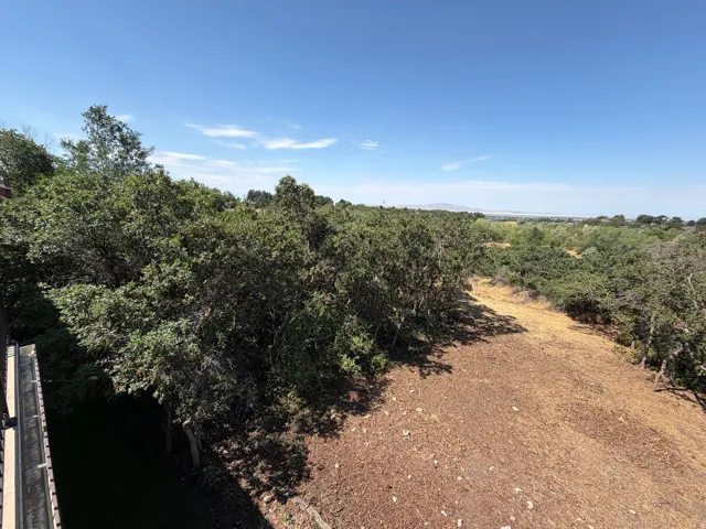 Expansive natural landscape with varied foliage and distant mountain range