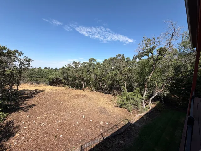 Expansive outdoor area featuring natural landscaping and mature trees