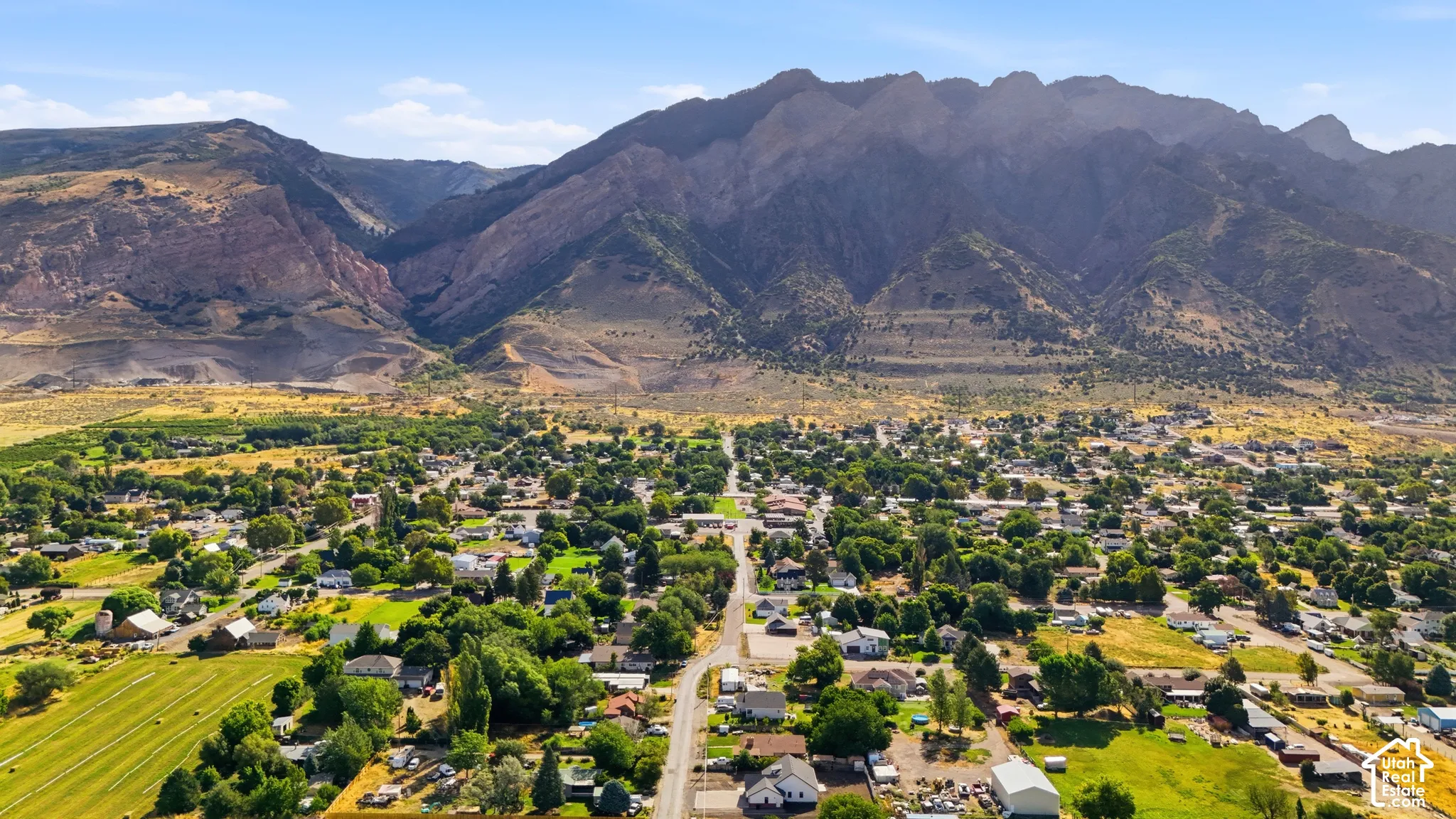 Expansive residential area featuring numerous detached homes, mature trees, and agricultural fields, with a prominent mountain backdrop