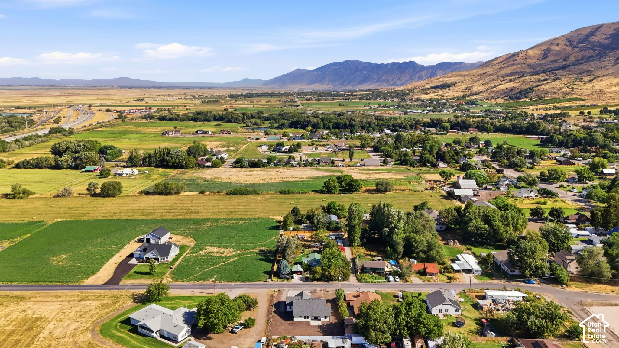 Expansive green fields with distant mountains under a clear sky